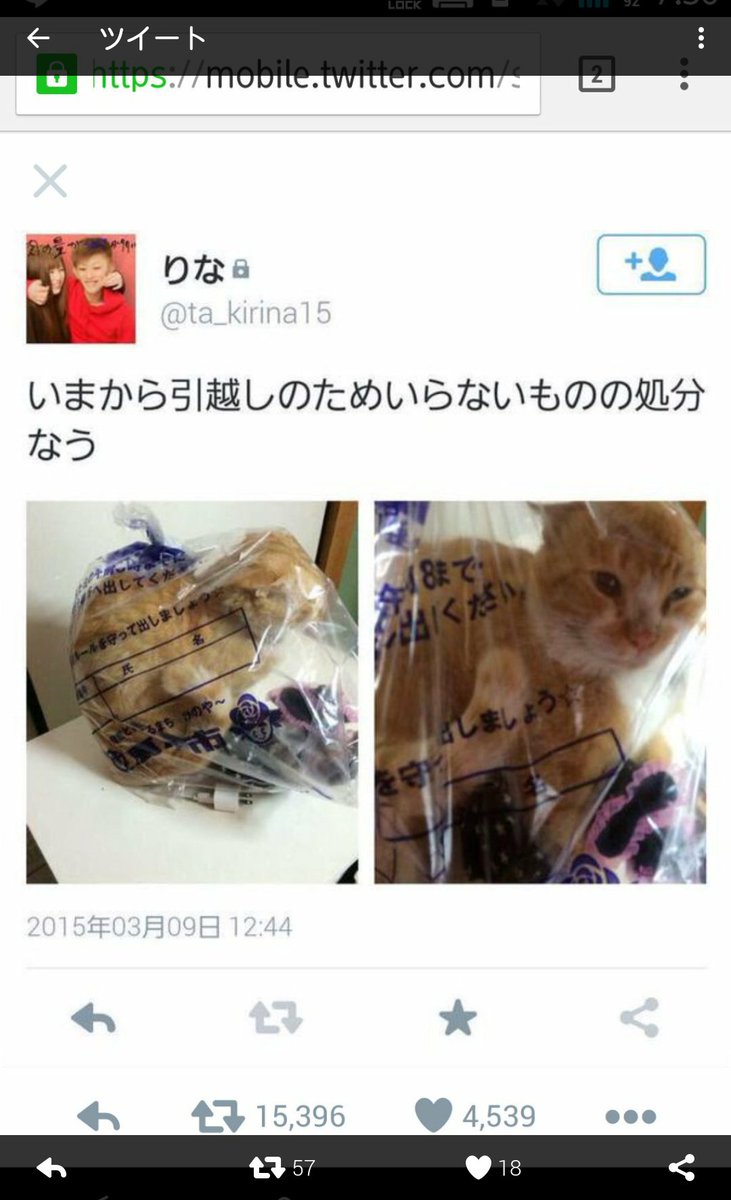 美加鈴 Xoxogg331 Twitter 美加鈴 Xoxogg331 Twitter
