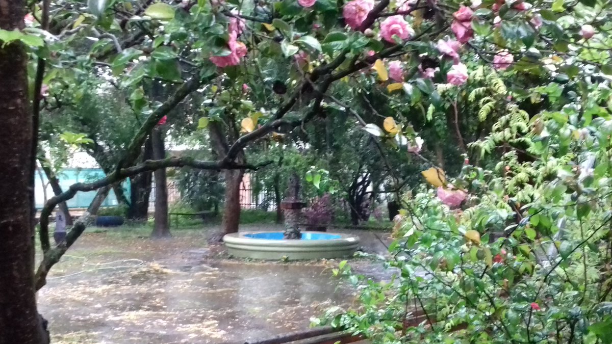 Maurithiuss's tweet photo. Parroquia San Buenaventura https://t.co/x8ct9VybmT