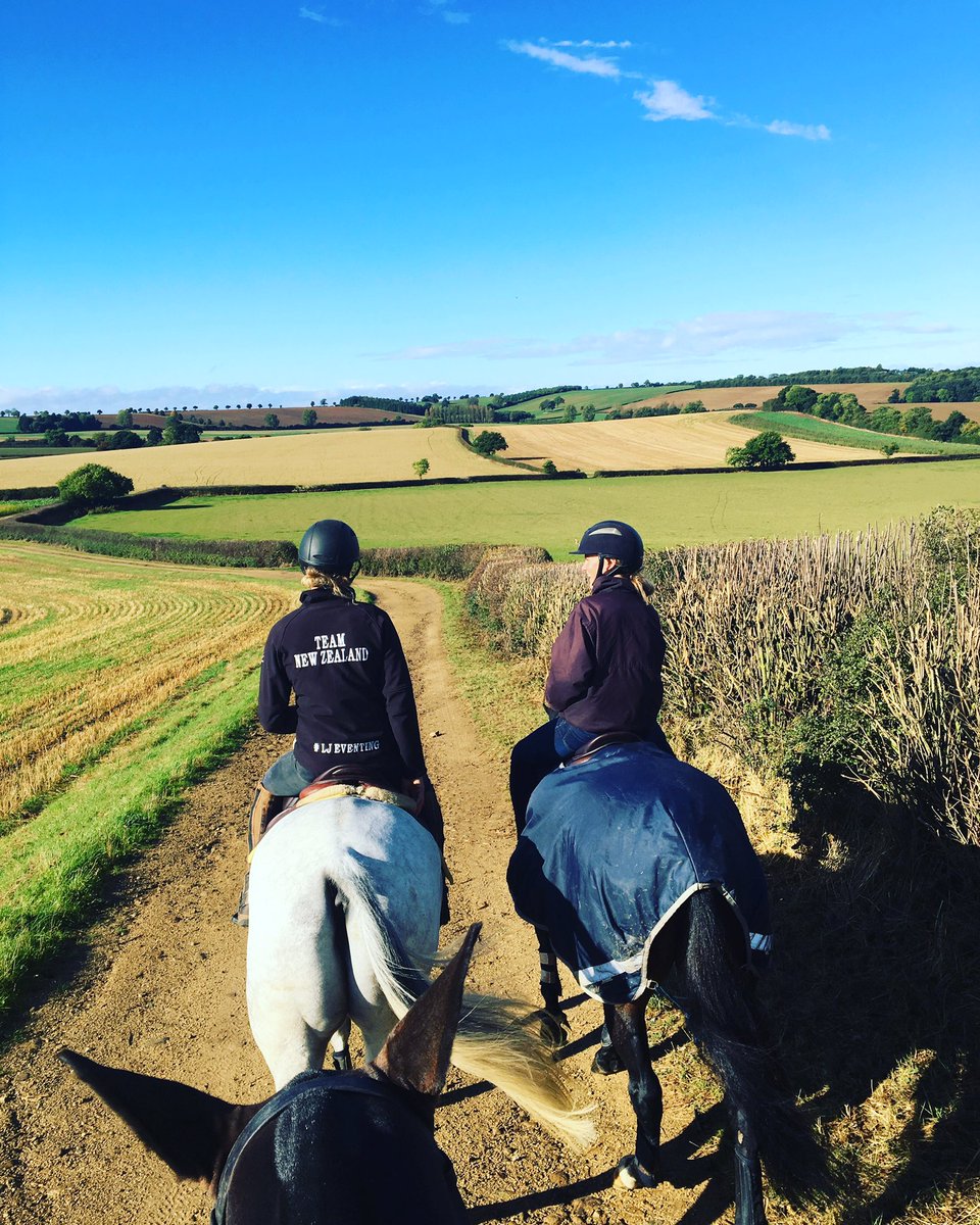 Vanessa Binnie Ryle tweet media