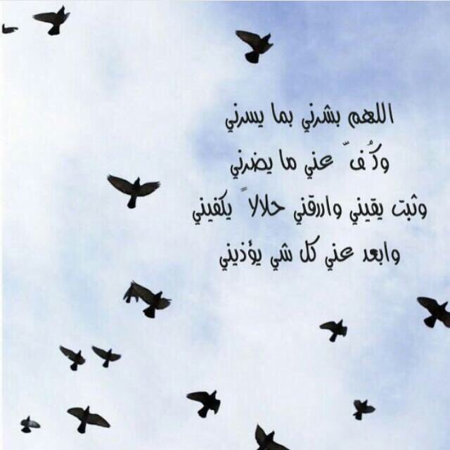 سبحان الله وبحمده 💐 (@shmoo000oos) on Twitter photo 