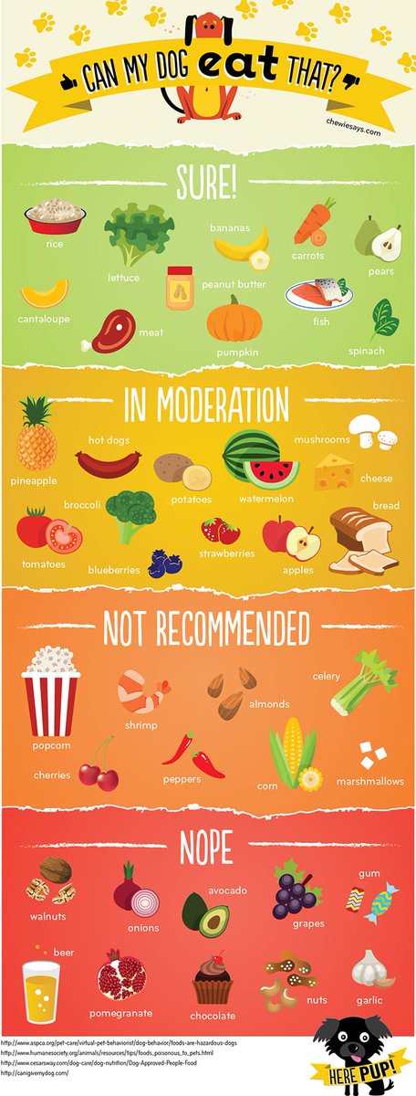 Fromtheheartvet's tweet photo. Check out all the foods your pet can and can't have on this map made especially for dog owners! #fromtheheartvet #veterinarianadvice https://t.co/xwxyel16Jd