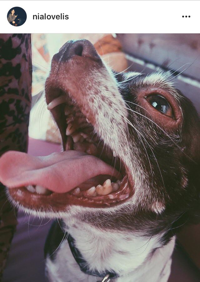HeyVioletFR's tweet photo. #PHOTOS - Nia via Instagram. https://t.co/bKYvM6zdzg
