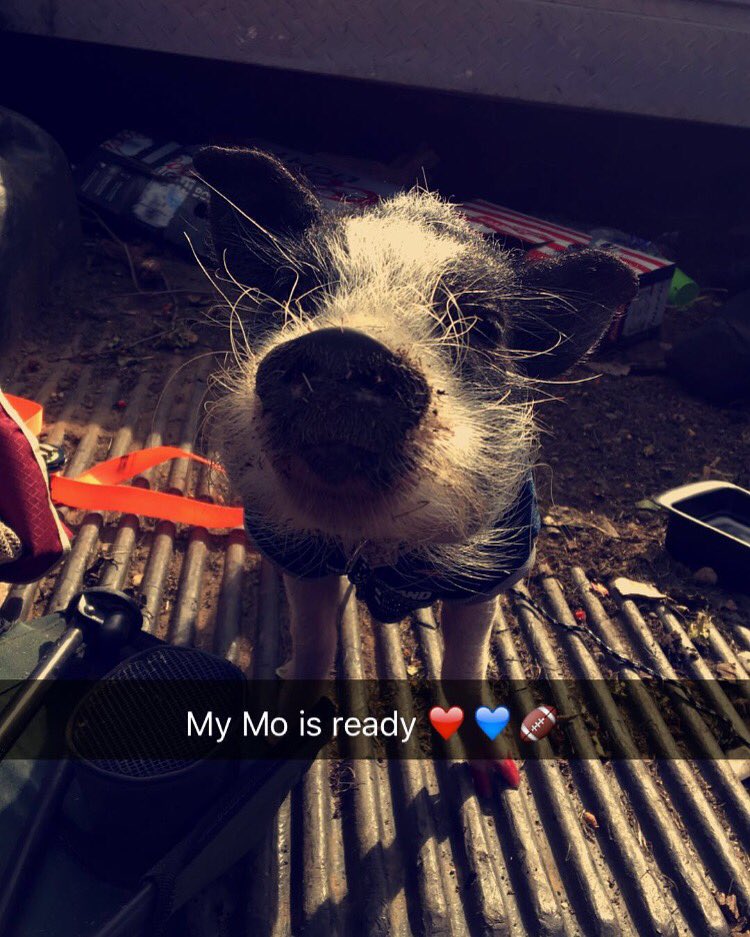 ItsBuzzay's tweet image. Mo is ready !!! #hairdone #nailsdone #patsnation 💙❤️🏈