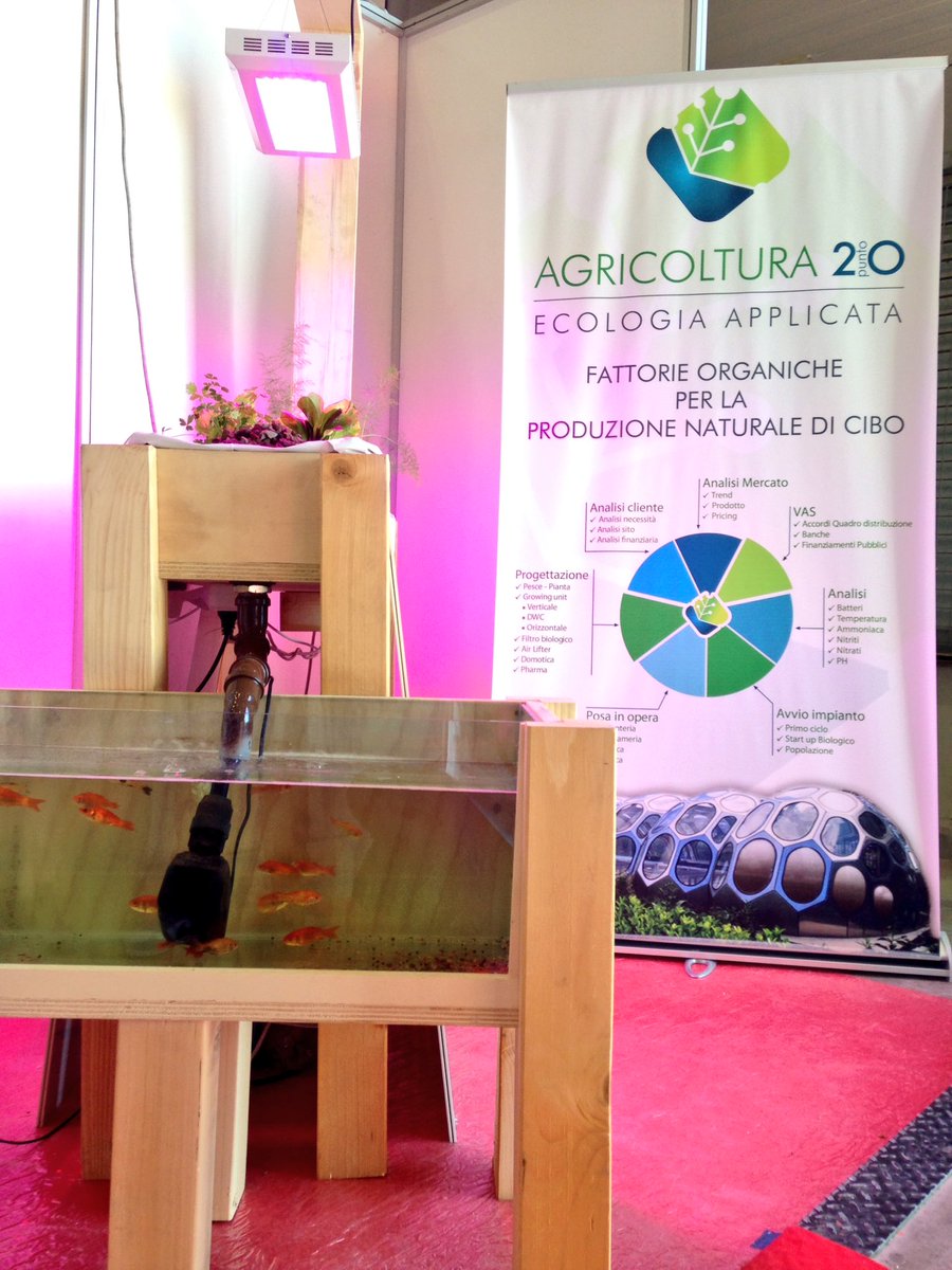 b_jacoste's tweet photo. @agricoltura20 helps bio plants grow 10 times faster through #aquaponics and using water populated by fish #MFR16 #foodinpro https://t.co/6q9PyrrdnU