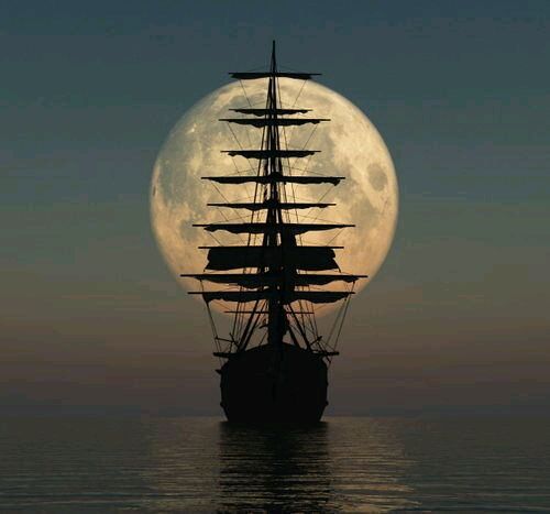 o7o7o71's tweet photo. #سليمان_الصالحي88
عابرون والدنيا ليست لنا ، 
سنمضي يوماً تاركين خلفنا كل شيء 
ربي أختم حياتنا بعمل صالح نلقاك به https://t.co/taH2G3Jxfy