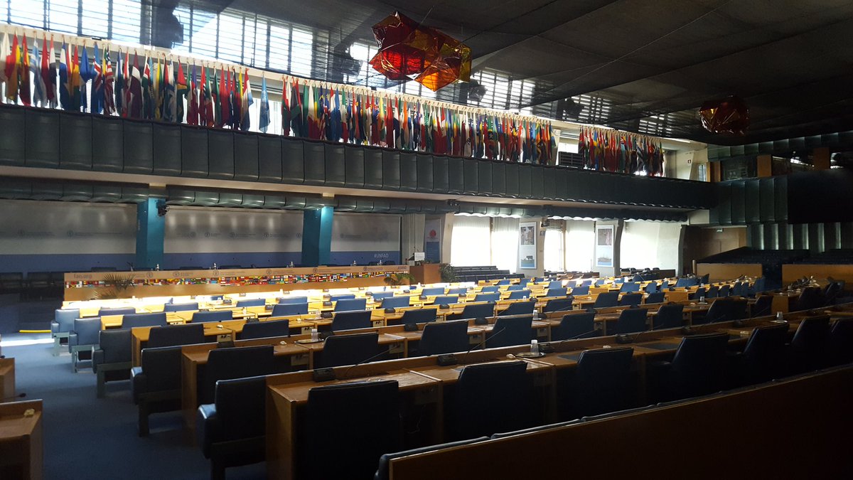 WordsBucket's tweet photo. Big week ahead, from tomorrow @FAOnews #CFS43 focuses on #foodsecurity and #nutrition join the conversation! https://t.co/MPVYLQlPkv