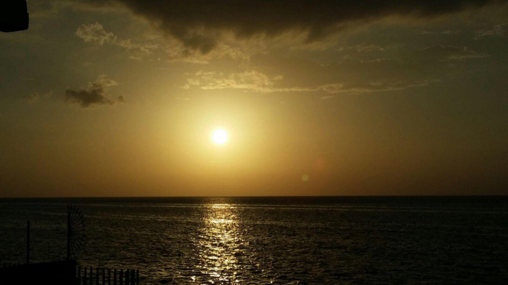 testing2255 tweet picture