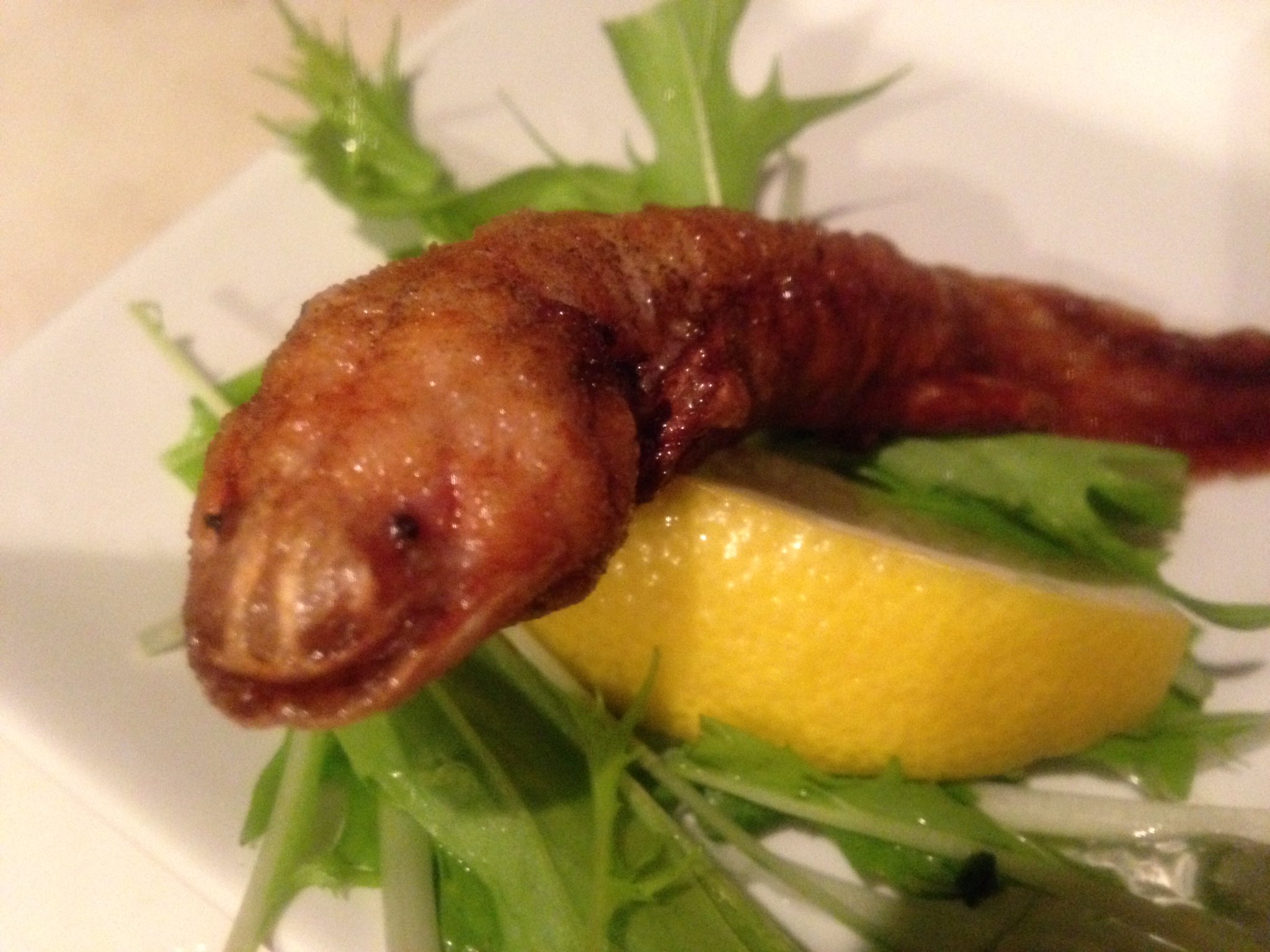 珍獣屋 珍獣屋でウーパールーパー1本揚げが食べられます お席の予約をされてる方だけがオーダーできる限定品ですのでご注意下さい 珍獣屋 T Co 2mawdbj0ud Twitter