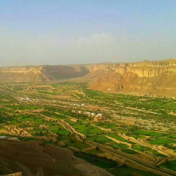 HADRAMOUT01's tweet image. وادي (بن علي)يقع في منتصف وادي #حضرموت الهضبه الجنوبية بين م/شبام &amp;amp; م/سيئون وهو تابع ادريا لمديرية شبام سمي نسبة ل علي بن حسن الجابري