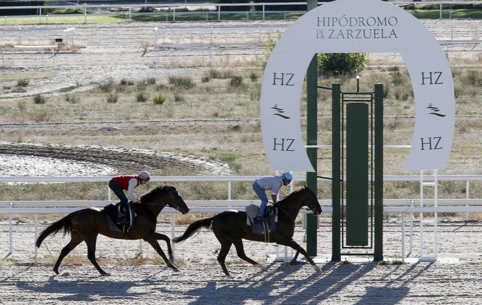 MarcaTMF's tweet photo. Dos jinetes, en estado grave tras chocar en el Hipódromo de la Zarzuela https://t.co/NqUuSitqE0 https://t.co/69UBVSG1Ep