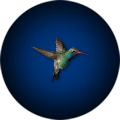MsMoneyBitches's tweet photo. MsMoneyBitches completed the quest Backward Bird! https://t.co/waTAr4lFCs https://t.co/tu2XkZW0A0