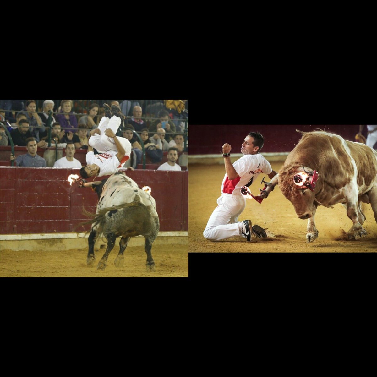 Con 2 cojones se pusieron estos 2 grandes recortadores delante de los 🐂en la plaza de zaragoza suerte amigos <a href="/pakitotoros/">pakito murillo parra</a>  <a href="/davidramipeque/">David Ramírez</a>