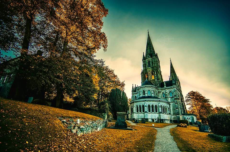 CorkPanorama's tweet photo. Gold @SFB_Cork #Cork 
@PhotosCork  @itscorklike @GotoIrelandNZ  @RandomCorkStuff @CorkTIO @Cork__Today @ImperialCork @Failte_Ireland https://t.co/sJEN1qATl1