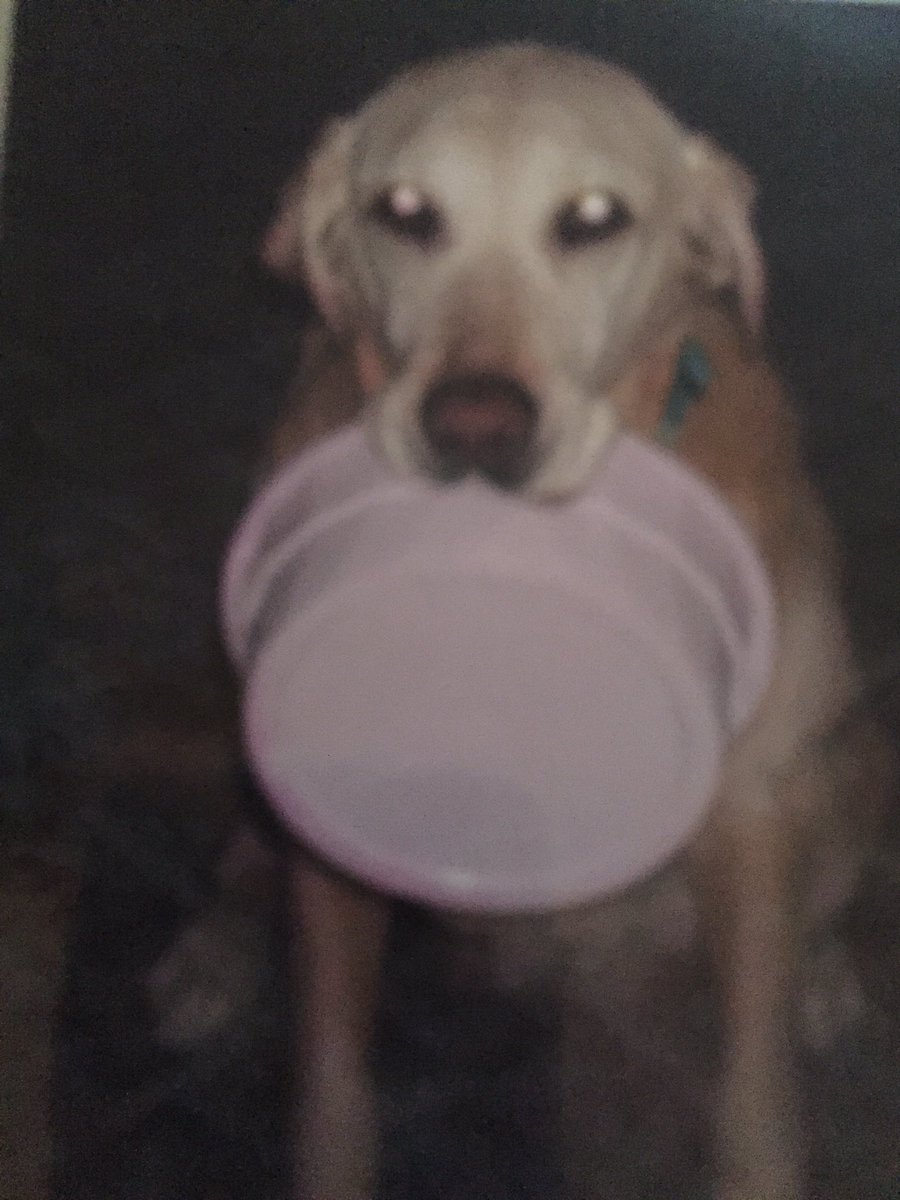 Southernkiddo's tweet photo. @KimmiOsborne I completely understand. Lost my 16yo &amp; I'm still not over her. She was everything me. 
#Teezer❤️ https://t.co/cJMkoJBNsz