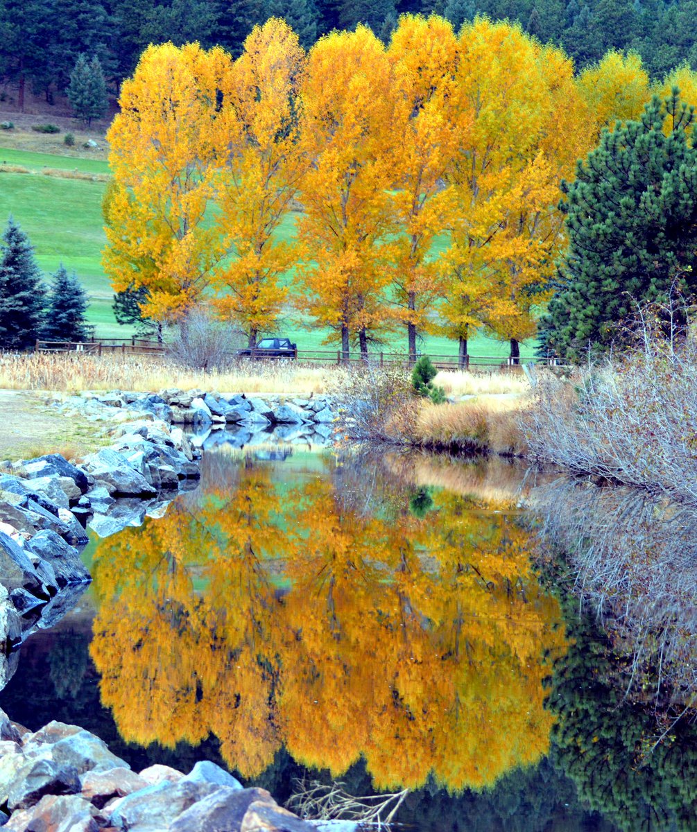 DMPhotographyCO's tweet photo. #EvergreenCO #fallcolours #beon9 #DenverChannel #falltimeintherockies #autumn https://t.co/CnWcaPVBbG