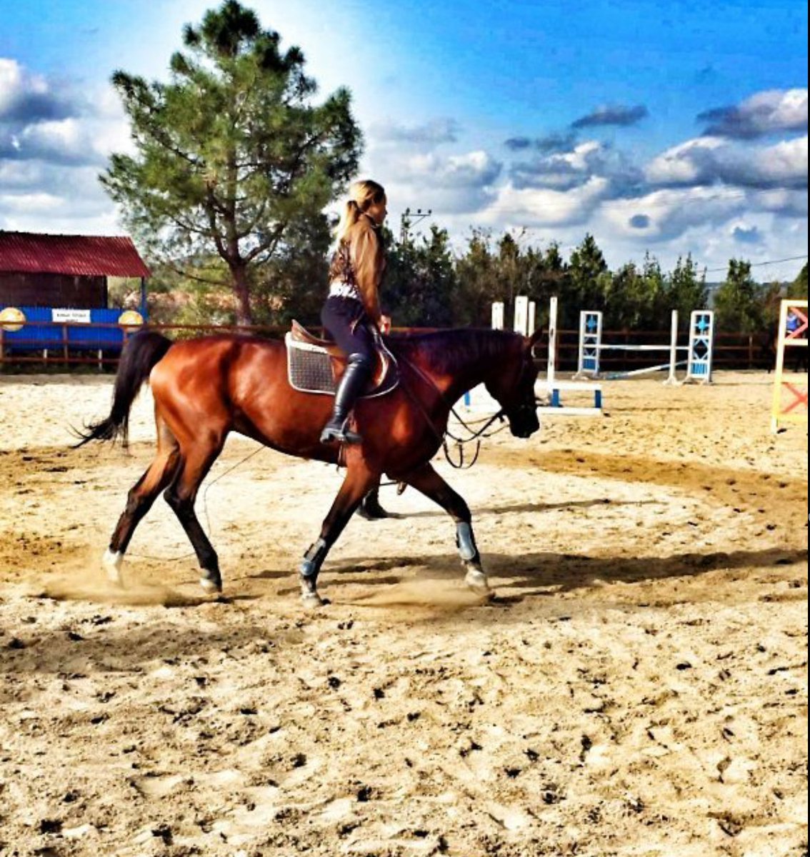 Huzurlu haftalar 💕 #meralavci #kısmetseolur #survivor #ütopya #göz6 <a href="/mrlavci87/">Meral avcı</a>