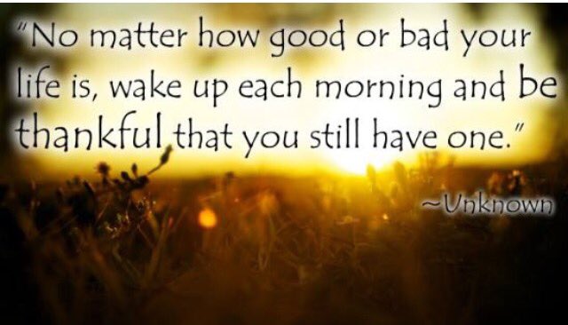 Chad Berger 🇺🇸 tweet media