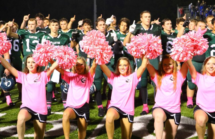 RheaganDavis22's tweet photo. through wins and losses, we still stand behind you boys. I love pink out and we love our dirty birds! 🎀💗🚺💋🌸💕 #PinkOut2016 https://t.co/7PRmwYh91i