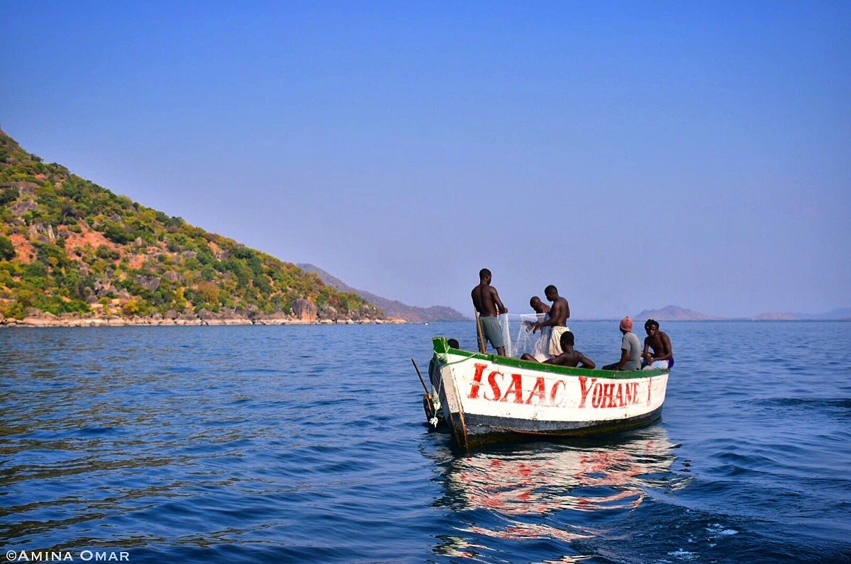 _aminaomar_'s tweet photo. On the way heading out to #CapeMaclear decided to buy fish from this local fisherman to feed the African Fish Eagles. #Africa #Malawi https://t.co/3K1gPy87Ie