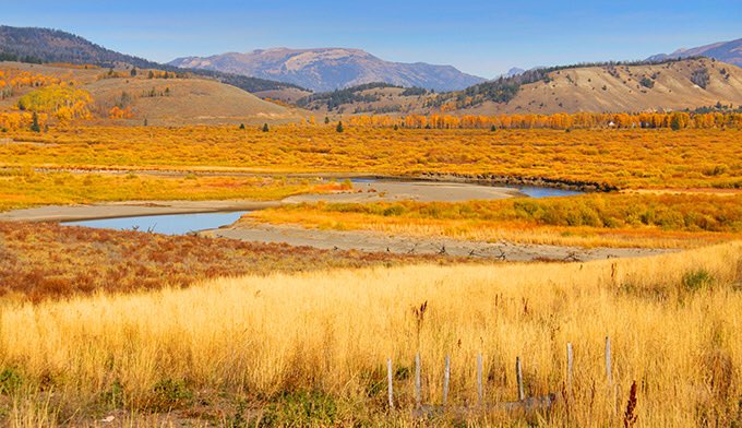 A wonderful autumn morning in Yellowstone this fine Sunday!!