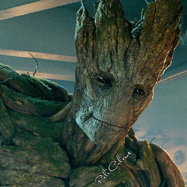 PCuleros's tweet image. #vindiesel pondrá  voz a #groot en 16 idiomas en la próxima película #guardianesdelagaxia2