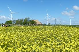 ShaleMartcom's tweet image. Moraine MN job posting Windplant Administrator ow.ly/9ANa3056JTY #windpowerjobs #energycareers