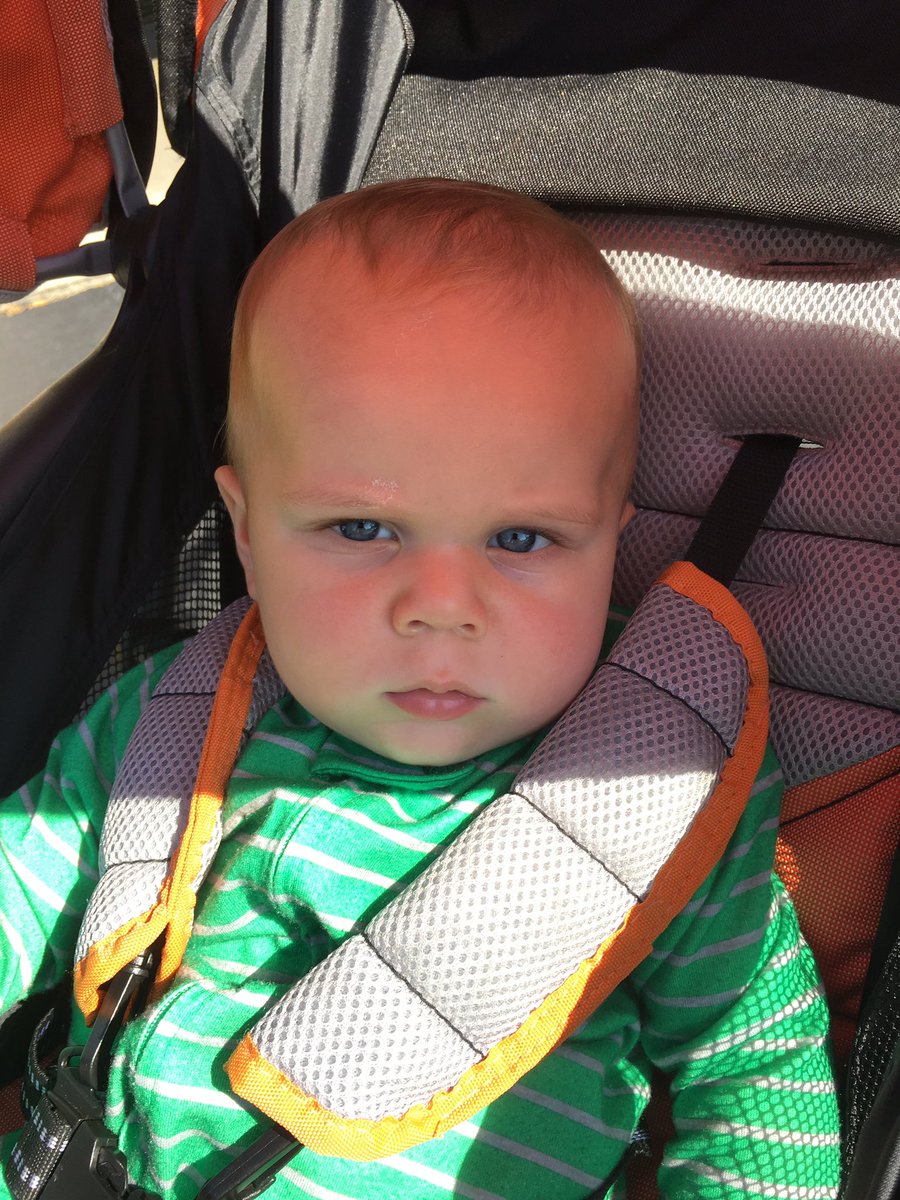 NatalieMoscato's tweet photo. #runningwithang #angelojames https://t.co/wcCeMptGYf