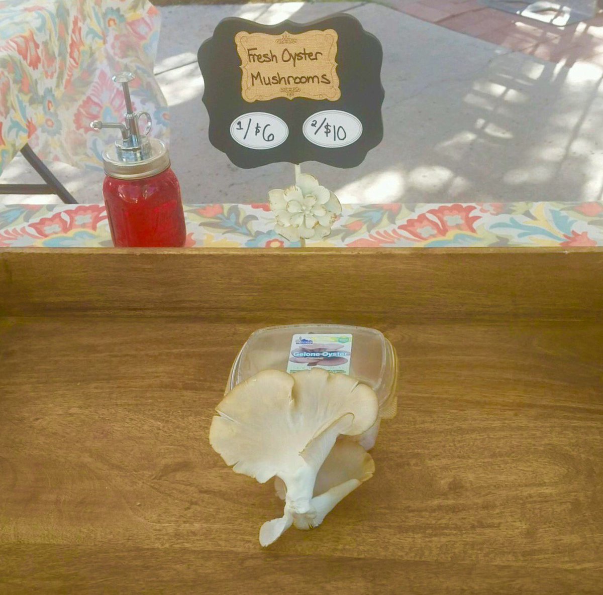 SonoranMushroom's tweet photo. Thank you for coming out to St. Philip’s Plaza #farmersmarket today! - we sold out of #mushrooms - See you next Sunday! #FoodInRoot #Tucson https://t.co/JTJkWyaWh1