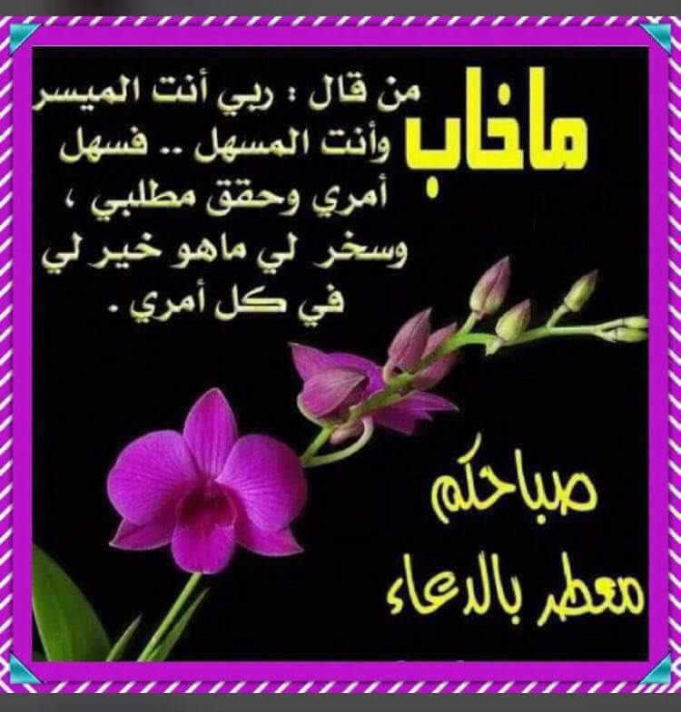 ابو طلال السويعدي. (@hh_366) on Twitter photo 