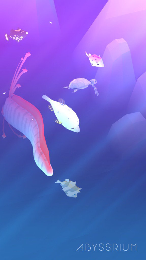 tunacqke's tweet photo. My Dogface Puffer:) 
https://t.co/juuCt3t5V7 https://t.co/jLLeh9mjkT