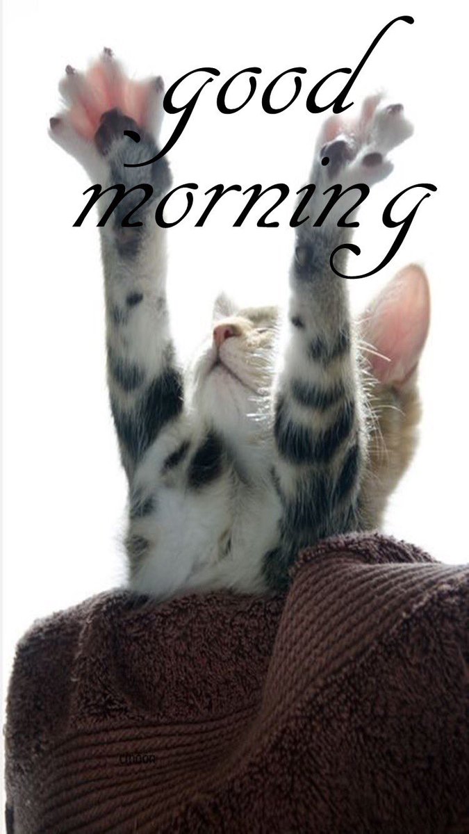 🍃┏━⏩💓
💕┣❍LL❍W
🍃┃🌟#TEAM1DIANA 
@labebacard
<a href="/DULCE_PASION__/">▶🌠#SWEET #TMCHIEVAS</a>
<a href="/MGWV1OO/">MGWV</a> 
@TruTina_ 
<a href="/Arab_Arabism/">DIANA ♡ #TM1DN</a> 
<a href="/megwiv/">🖤 ᴍᴇɢᴀɴ ᴡɪᴠ</a>