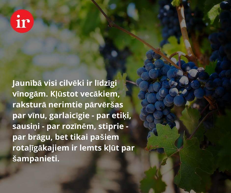 Vīnogas un cilvēki