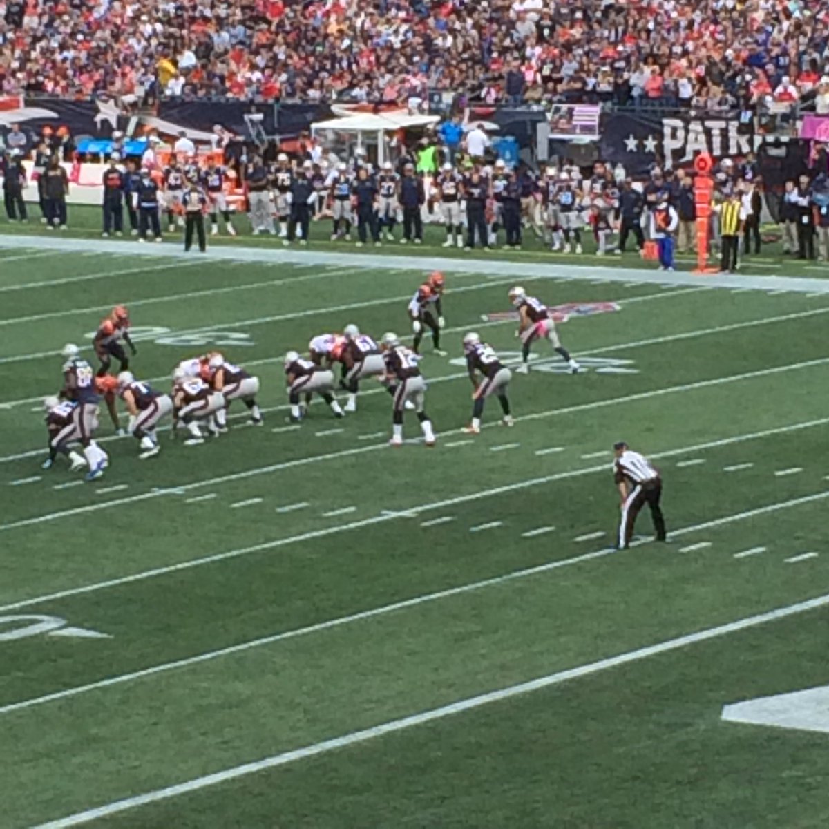 DerekRignell's tweet photo. The #MinnesotaVikings have a bye this week so we thought we would check out #12 at the #patsgame #BradysHomecoming #goat https://t.co/D6RWlEDlU7