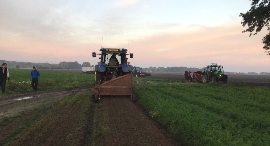 geert070760's tweet image. #Nairobi carrots cleared off the headland #Scanstone windrower #Huntapac