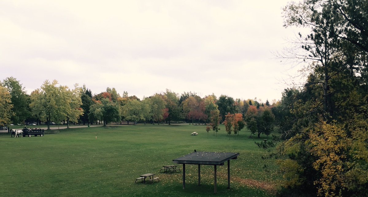 Until 4 swing by the Mountsberg Conservation Area in Milton for their Spooktacular Halloween and enjoy a wagon ride!