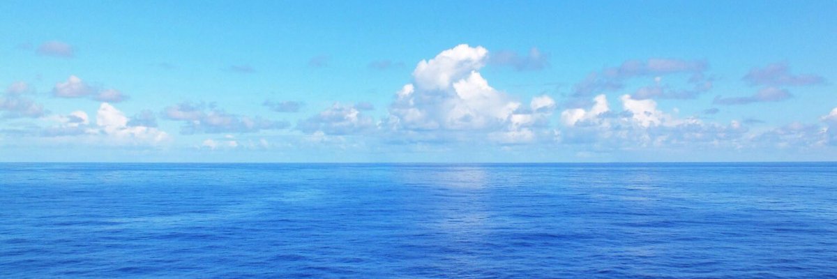 NothingSirius's tweet photo. @KitemanX @bikinatroll @UnCastellsMes #FlatEarth is 71% water! Water aways finds its #LevelHorizon #HydrostaticEquilibrium #NoCurvature🌎👈😂__ https://t.co/VcCeHiWW62