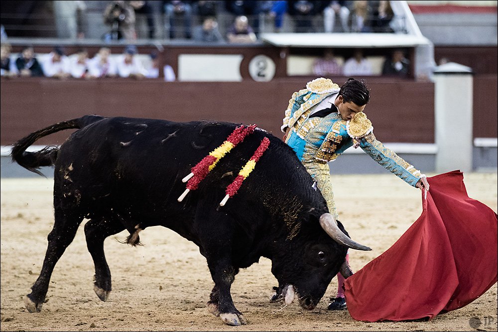 Toreando así, <a href="/AAguilarmatador/">Alberto Aguilar</a> se había merecido hoy un poquito más, ¿no?