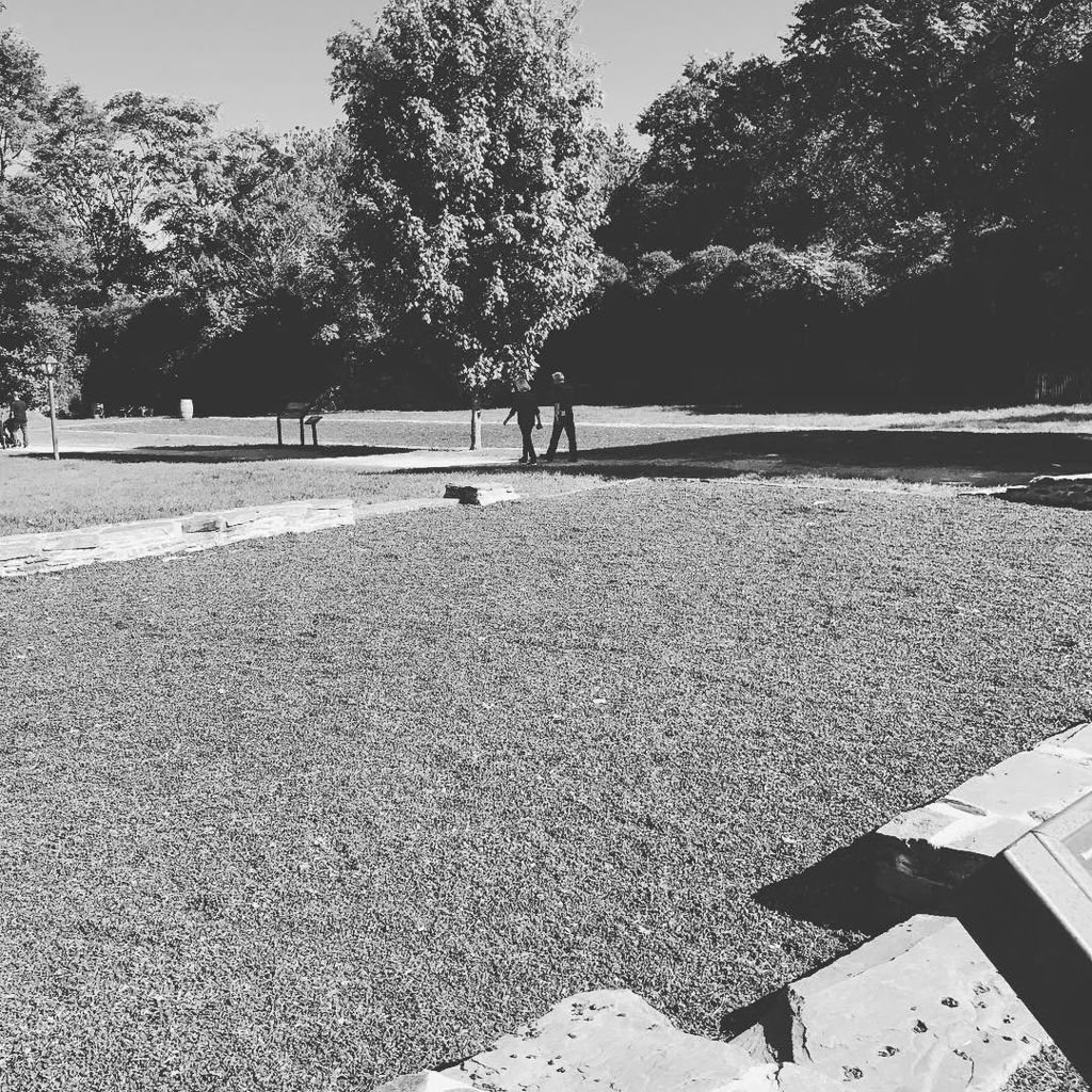 TheCptPete's tweet photo. #findyourpark #nps100 #hfcolorwatch @harpersferrynps https://t.co/8sqbuGksiN https://t.co/qjyOxPqHQ2