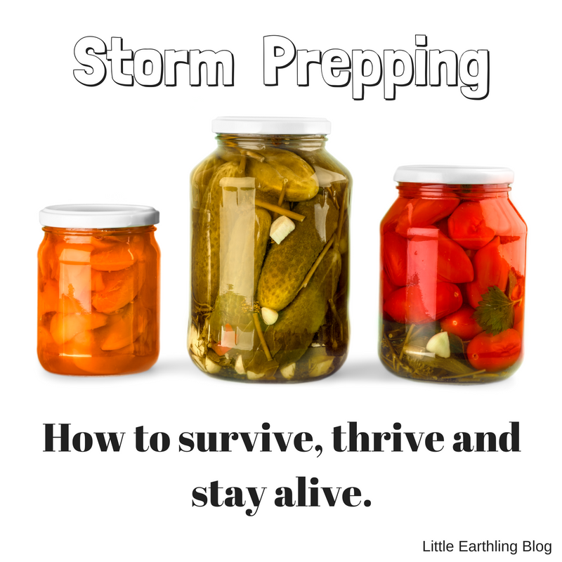 reneebergeron14's tweet photo. Storm Prepping Large Family Style: https://t.co/V6TGSP2FLn
#prepper #storm2016 #stormprep #largefamily #humor #parenting https://t.co/ivUMGvjSyO