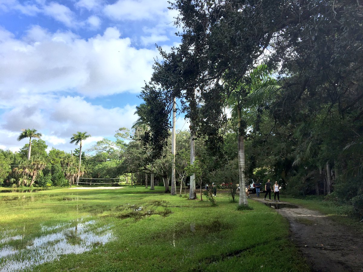 fadi_masoud's tweet photo. #saturated #park #terrasortafirma #Florida #udstudio @mitsap @MITdusp @MITarchitecture @MITCAU @urbanrisklab https://t.co/LIIDIGwa6G