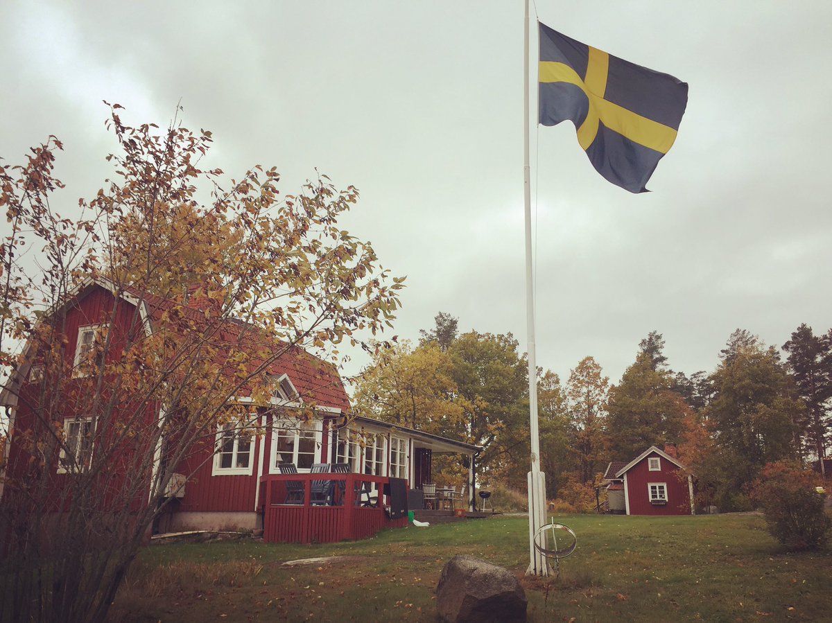 barzi3's tweet photo. 😍 posti incantati #sweden #fall #home https://t.co/ow24FvyP34
