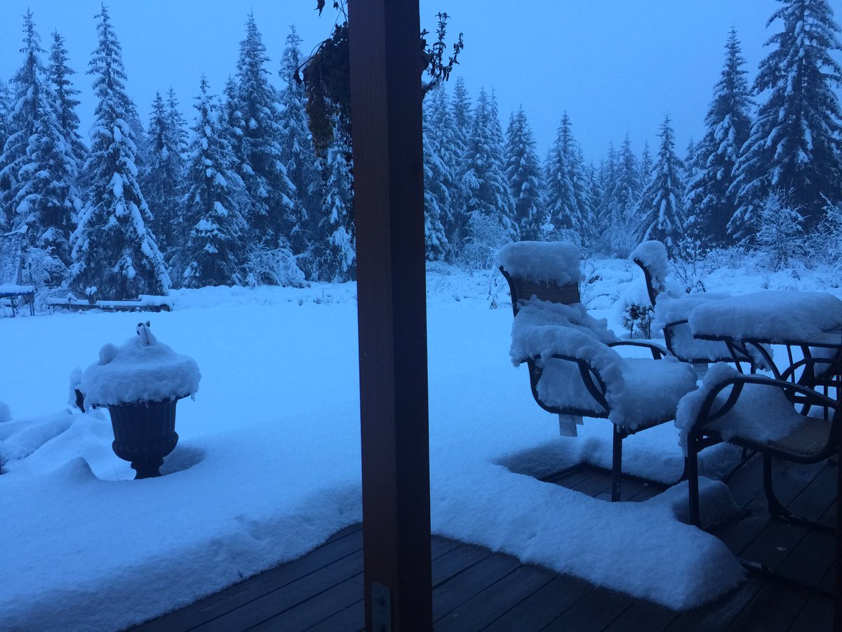 rabanaszak's tweet photo. Hello, Snow! ❄️🌨☃️ https://t.co/nXA9DwgjUB