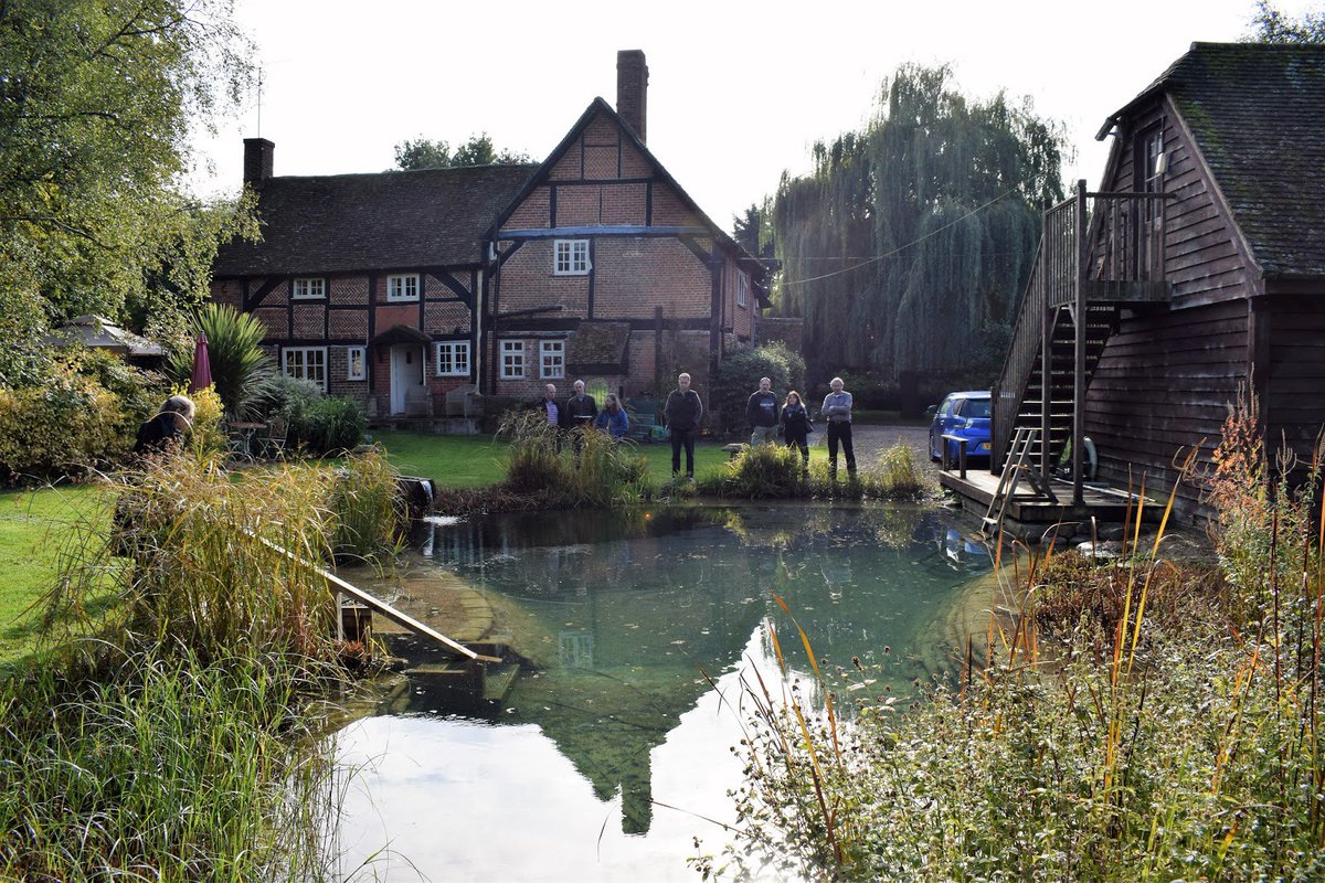 NEW POST in my blog :-) Fernando Ruz: Piscina natural en Bramley #Hampshire chileangarden.blogspot.com/2016/10/piscin… #naturalswimmingpond