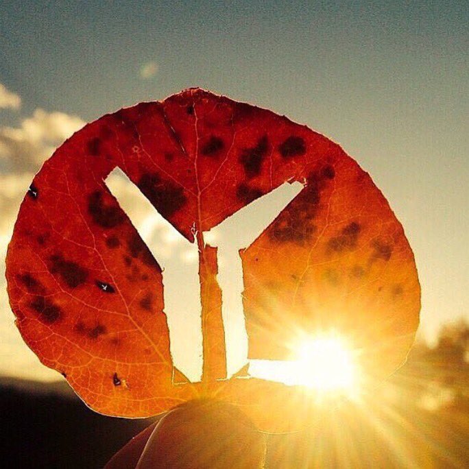 Houston Young Life tweet media