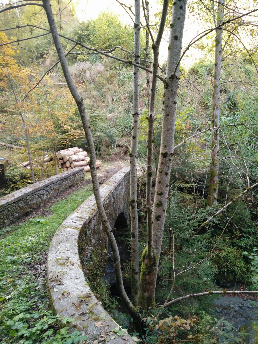 ADComeglians's tweet photo. Sentiero dei Mulins a #Tualis #trekking #fvg https://t.co/zaI2ysRdbj