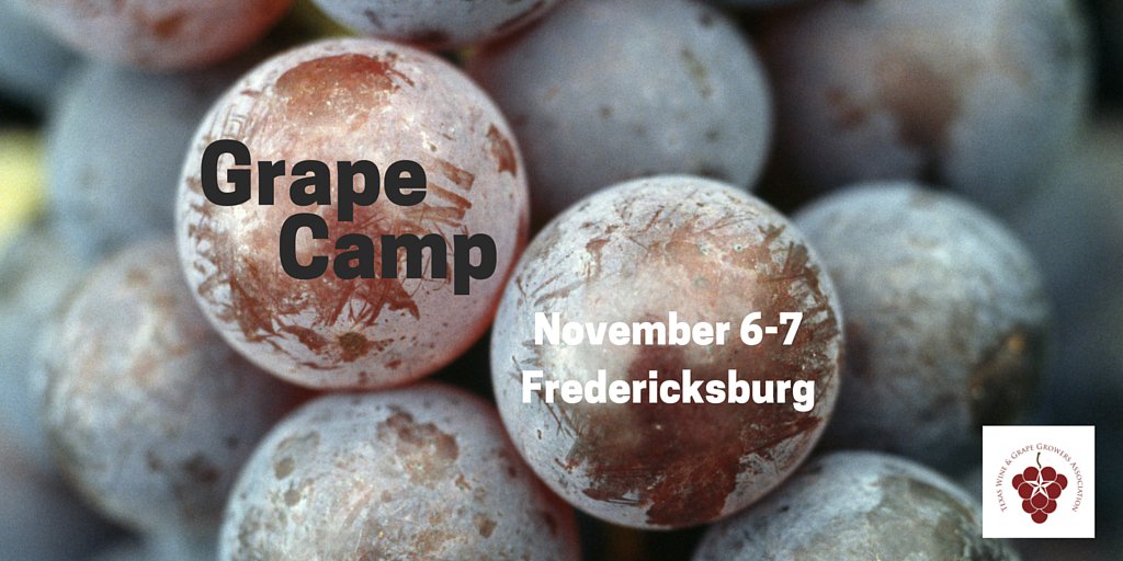 Texas_Wine's tweet photo. 20 more days until Grape Camp! What will #txwine look like after these grape growers learn from the best? https://t.co/cN6zCSSjbD #grapecamp https://t.co/QnTtnuyg7U