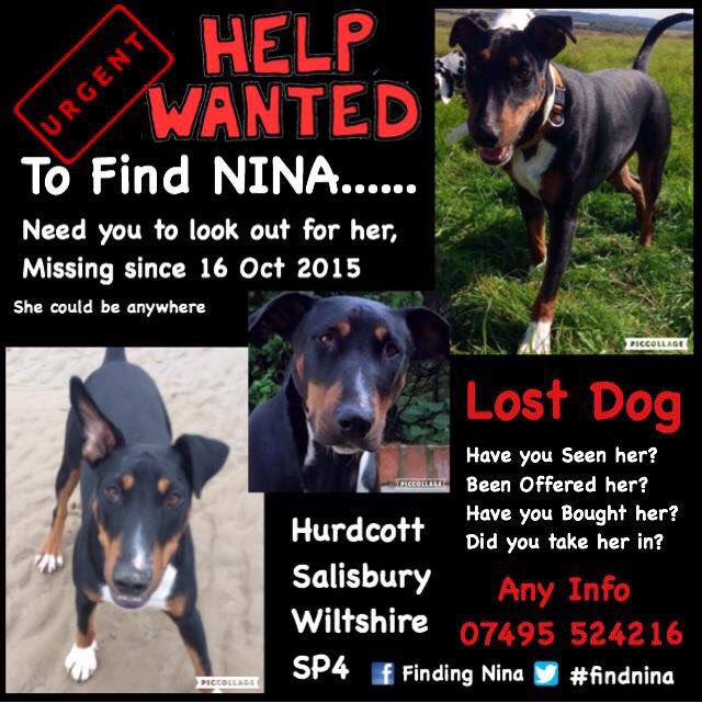 Please keep tweeting and RT’ing for <a href="/pipthered/">Pip Pritchard</a> <a href="/Woof4Nina/">Nina's Auntie Verena</a> &amp; <a href="/FindingNina2/">Finding Nina</a>
Help end their nightmare #FindNina <a href="/polorocks234/">Donna Blake</a>  <a href="/donmufc/">donna mccarthy</a> TY