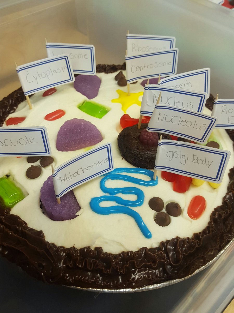 KarielleW's tweet photo. @DavidsonRaiders Creative cell models #Sci8 #handsonscience https://t.co/JPCvkpCwIw