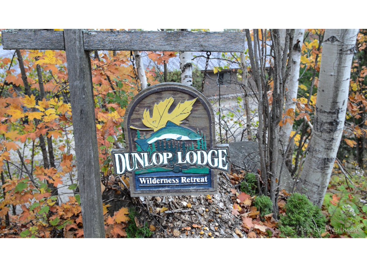 travel blog post up: Elliott Lake Dunlop Lodge Wilderness Retreat - a beauty
monikalifephotography.com/dunlop-lodge-o… #photography #ontario #travel