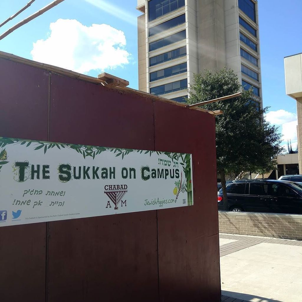 AggieRabbi's tweet photo. The #SukkahOnCampus is up! #koldus #RudderTower https://t.co/JrODnUmqCF https://t.co/NhpHVzuunW
